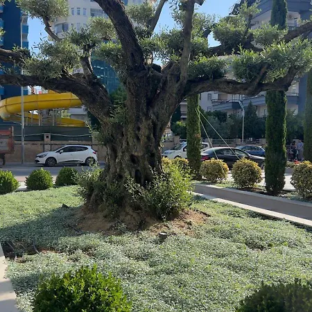 2-х комнатная в жк класса Luxe, тосмур *